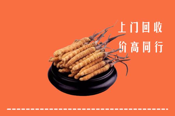 宁都县回收散虫草