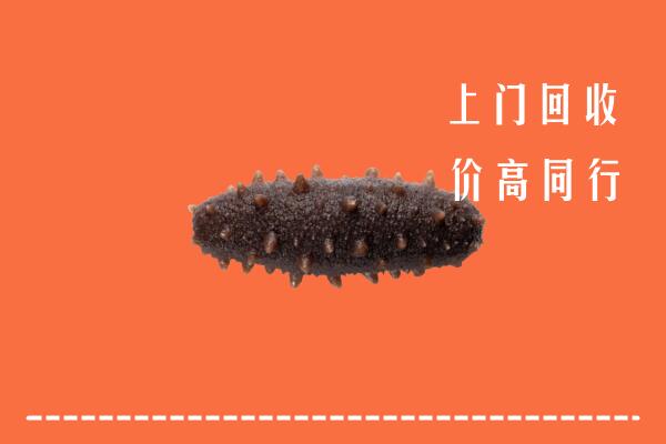 收购行情：宁都县回收海参