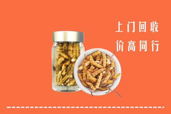 宁都县回收冬虫夏草