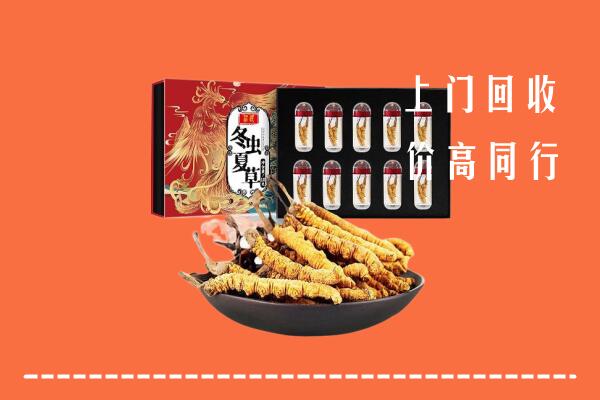 宁都县回收虫草